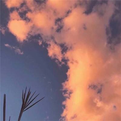 乐鱼app(中国体育)官方网站手机app下载